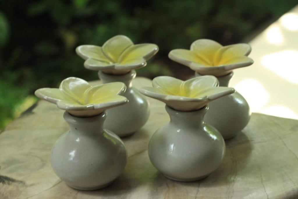 Villa Sutra Pemuteran  Phòng bức ảnh